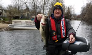 Michigan Bass Fishing Now Legal Year-round